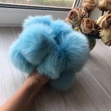 Песец Голубой