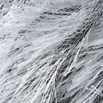 Samba (100% полиэстер) - 150м / 100г фото 46
